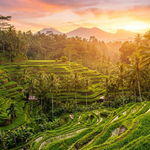 Bali eSIM Guide 2026: The Cheapest Way to Get Data in Bali