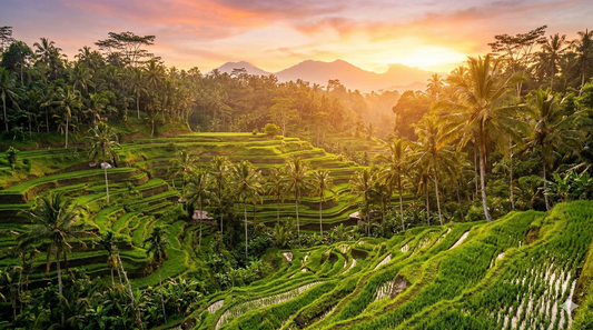 Bali eSIM Guide 2026: The Cheapest Way to Get Data in Bali